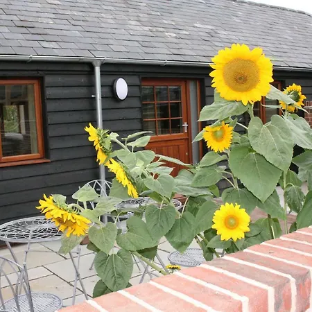 Blashford Manor Holiday Cottage - The Dartmoor Cottage Ellingham  Exterior photo