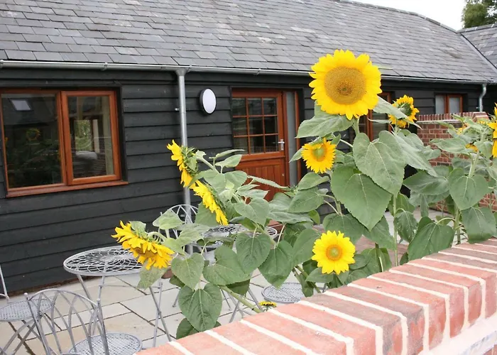 Blashford Manor Holiday Cottage - The Dartmoor Cottage